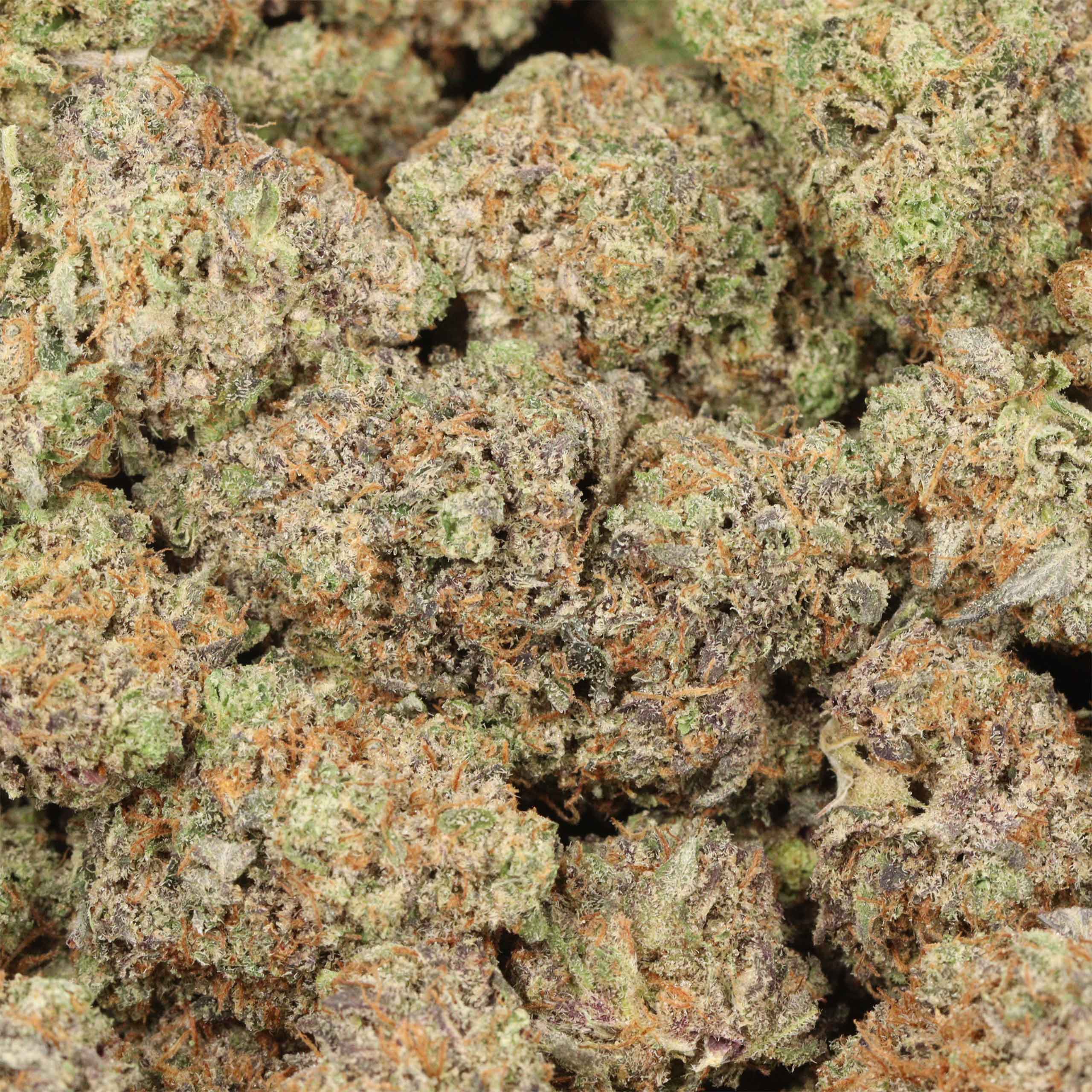 Tuna Kush AAAA+ Indica Craft - Image 3
