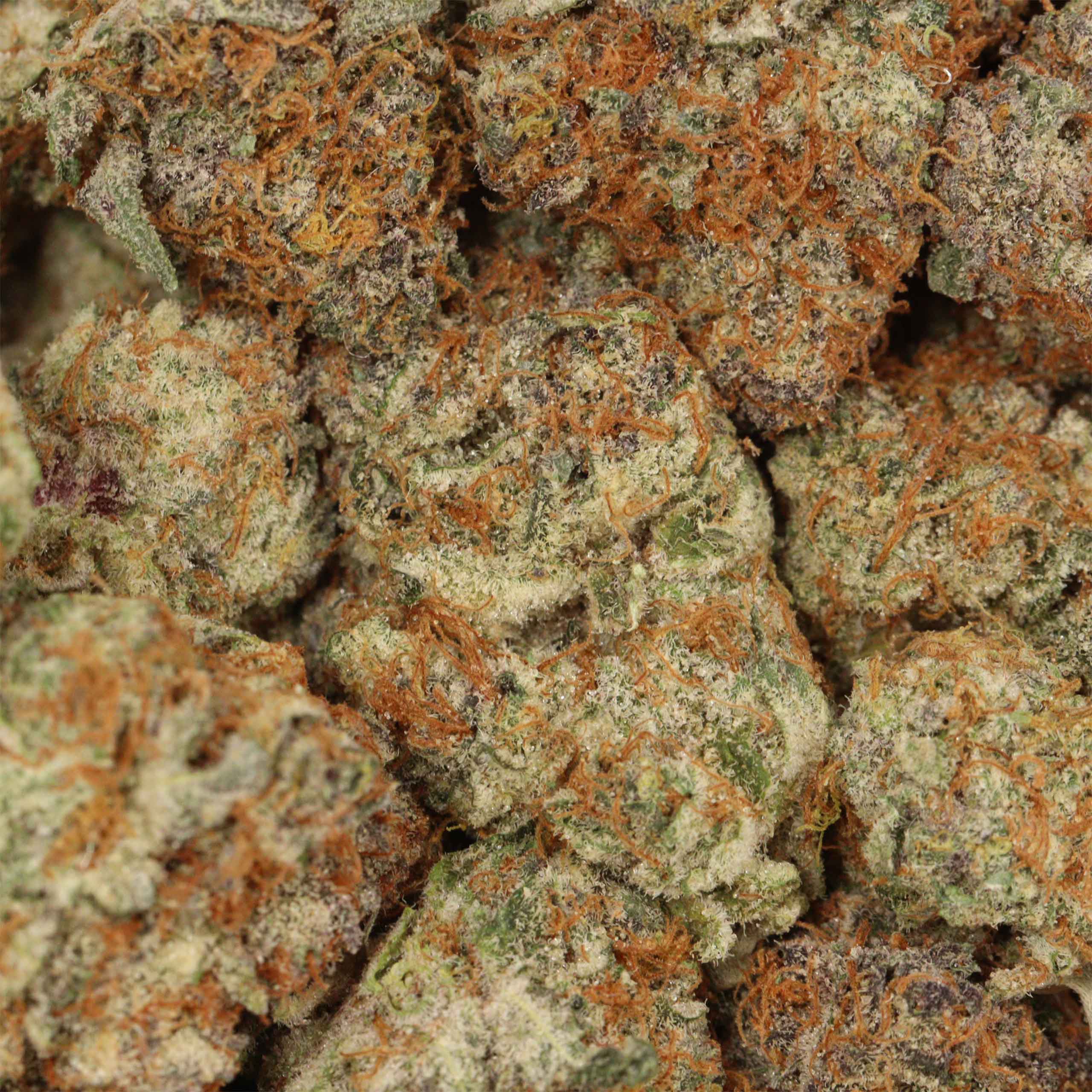 Ultimate Trainwreck - Image 3