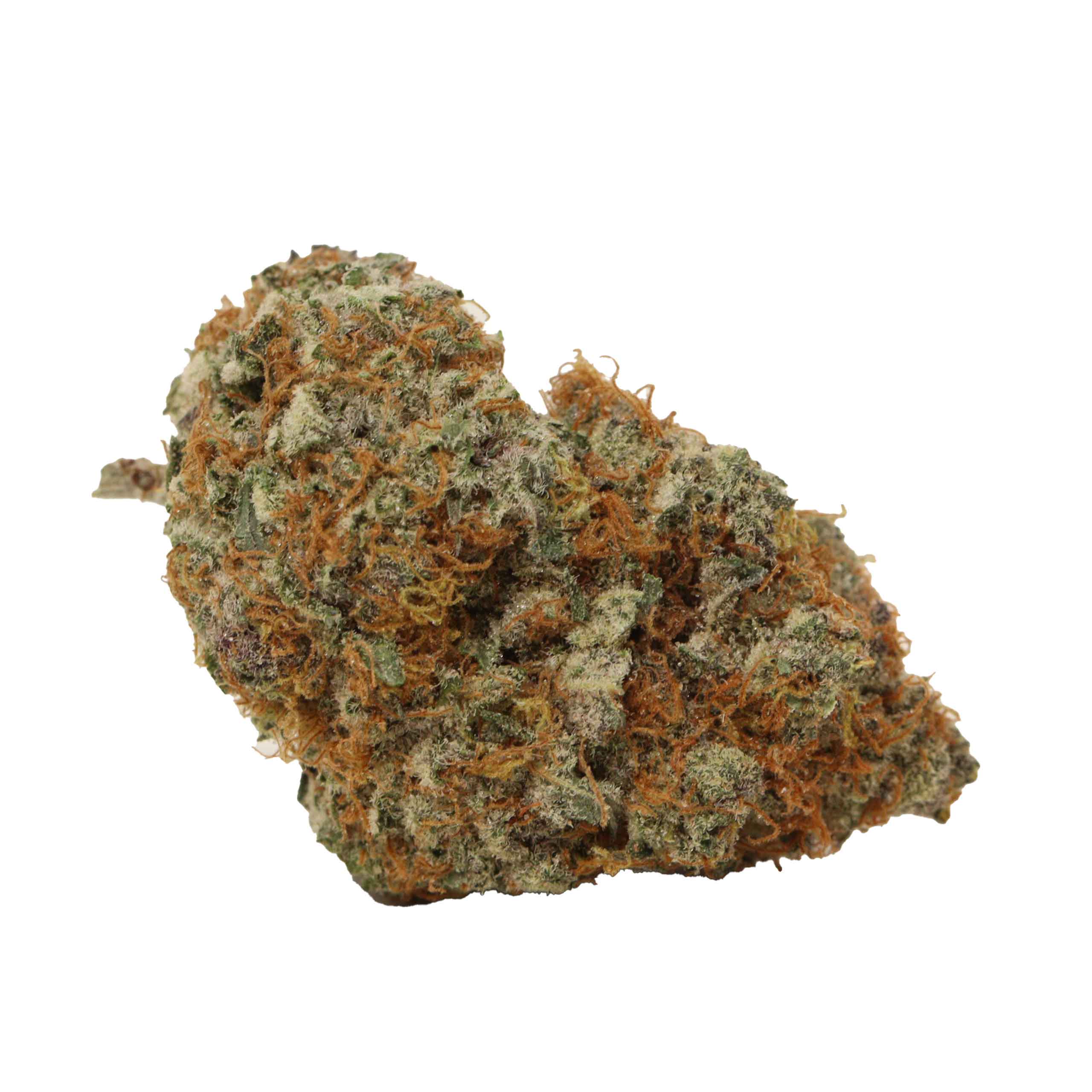 Ultimate Trainwreck - Image 2