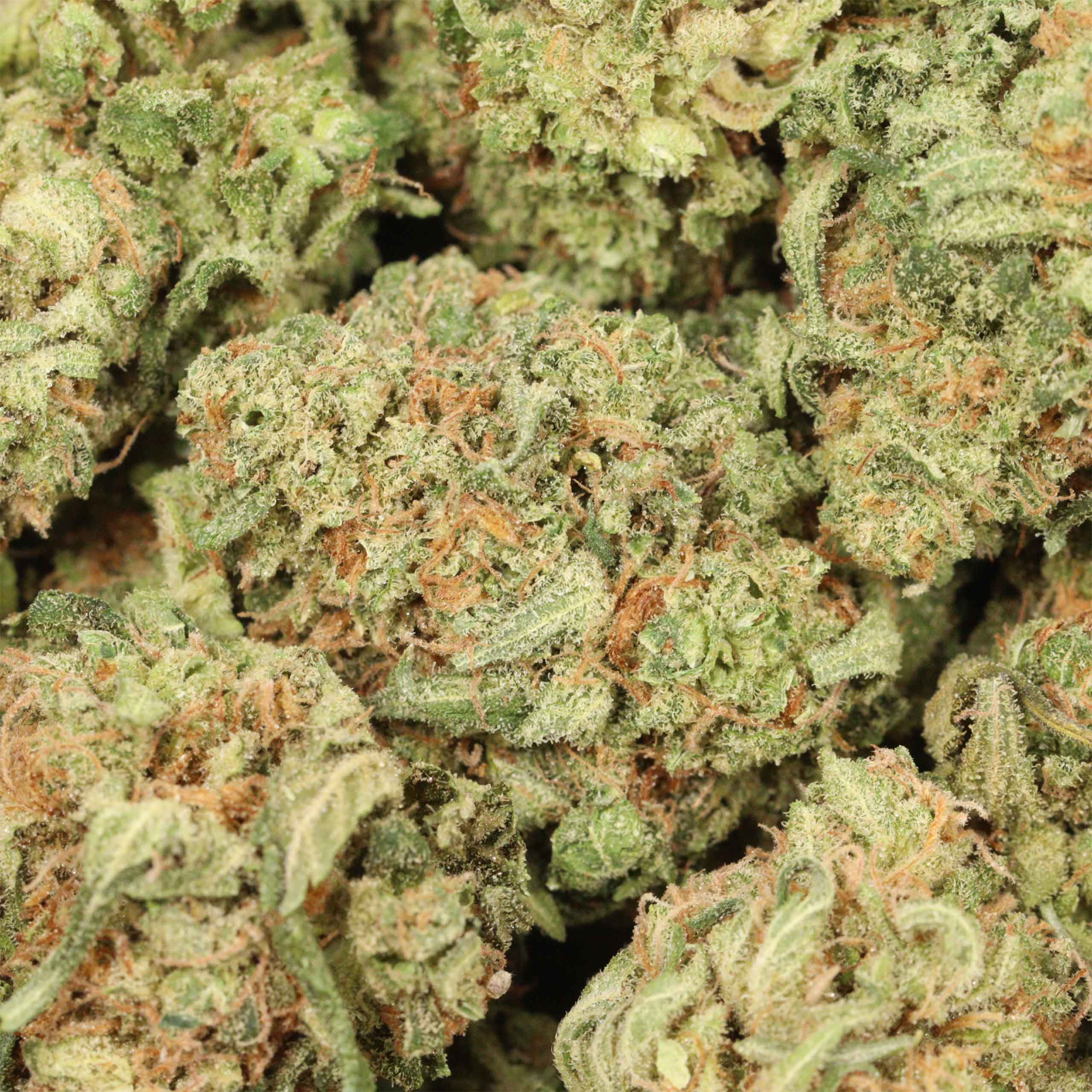Violator Kush - Image 3