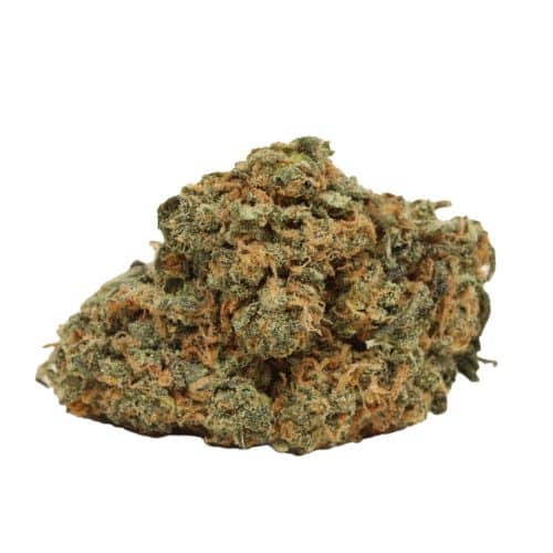 94 Monkey strain cannabis