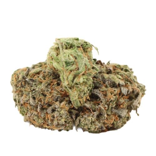 94 Octane strain cannnabis