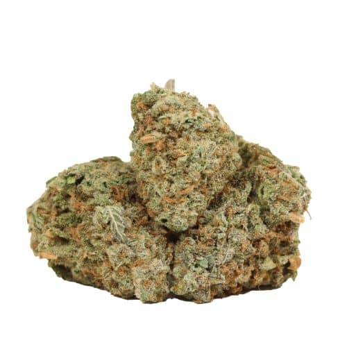 Alaskan Thunder Fuck strain cannabis