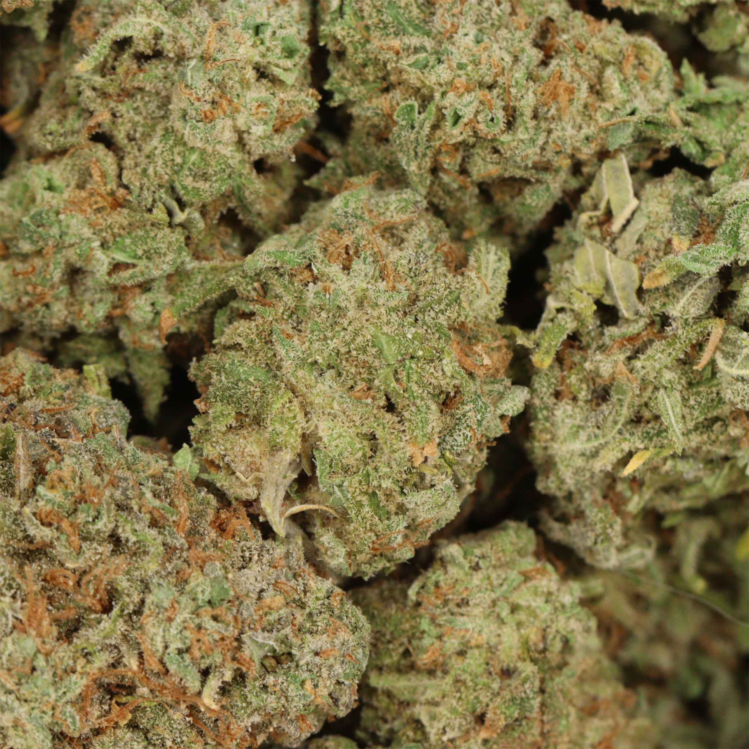 Alaskan Thunder Fuck - Image 3