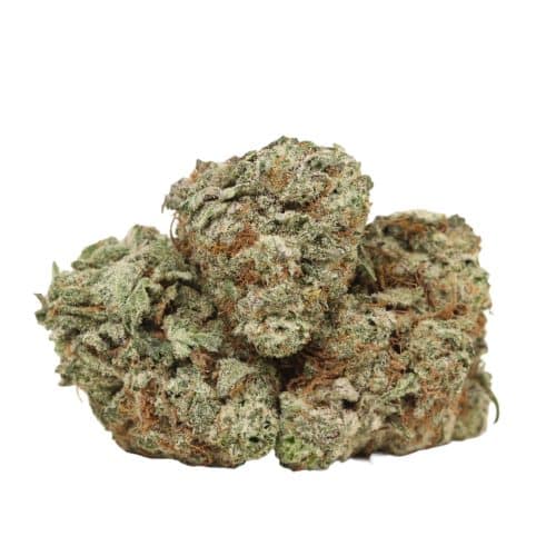 Afghani Kush strain cannabis
