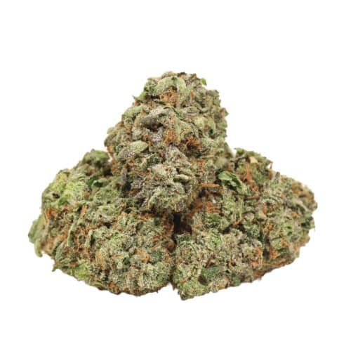 Afghani Pink strain cannabis