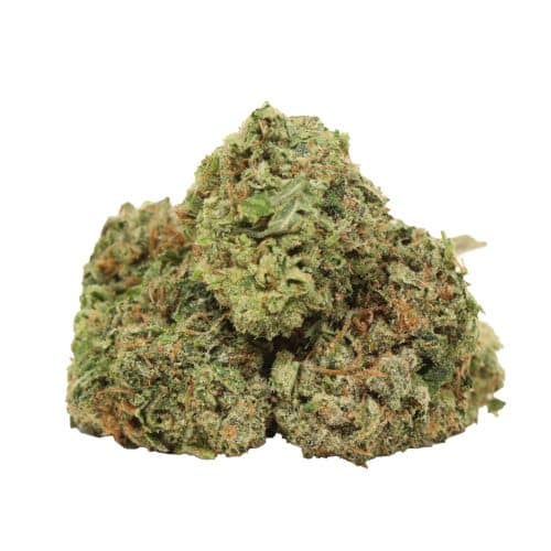 Afghani Pink strain cannabis