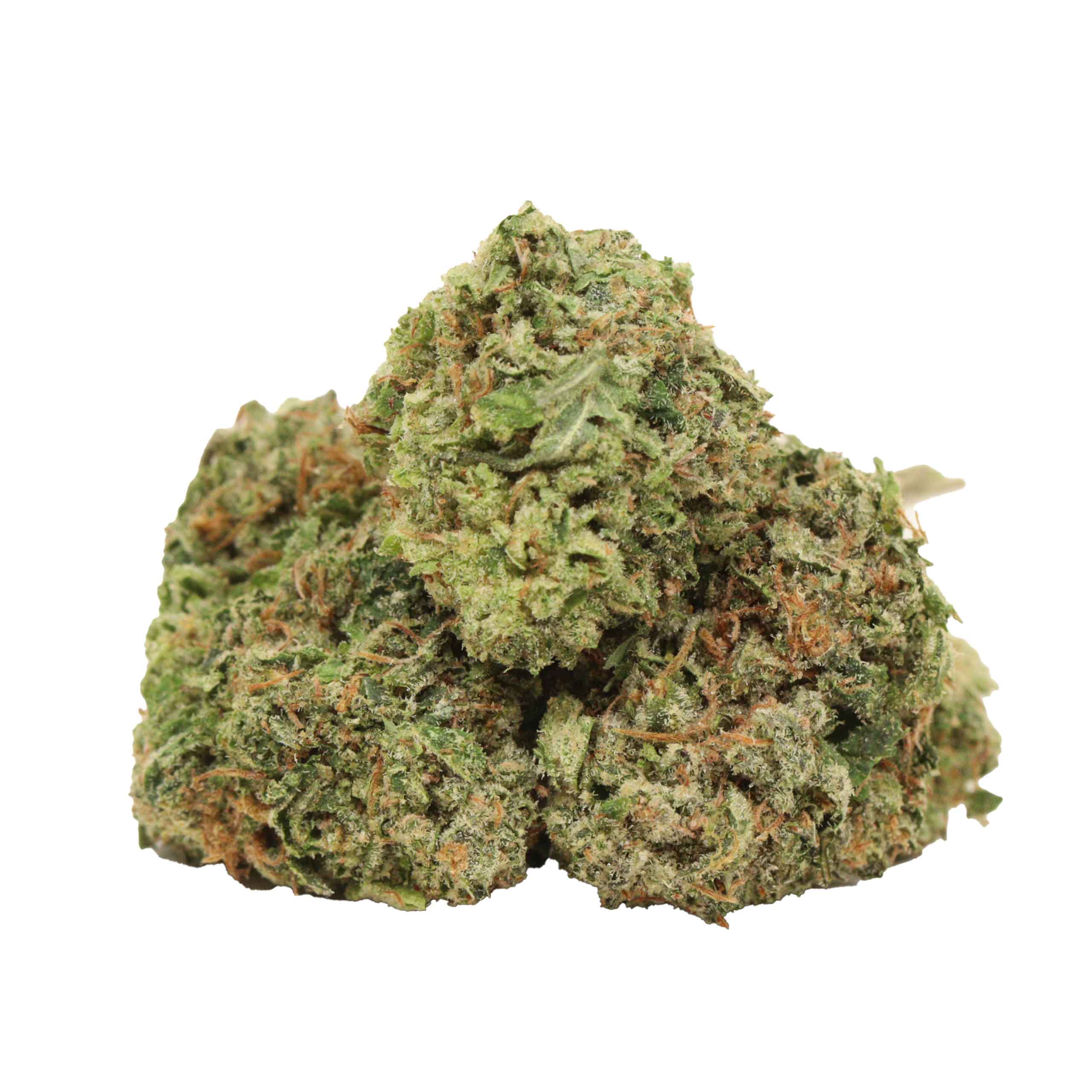 Afghani Pink strain cannabis