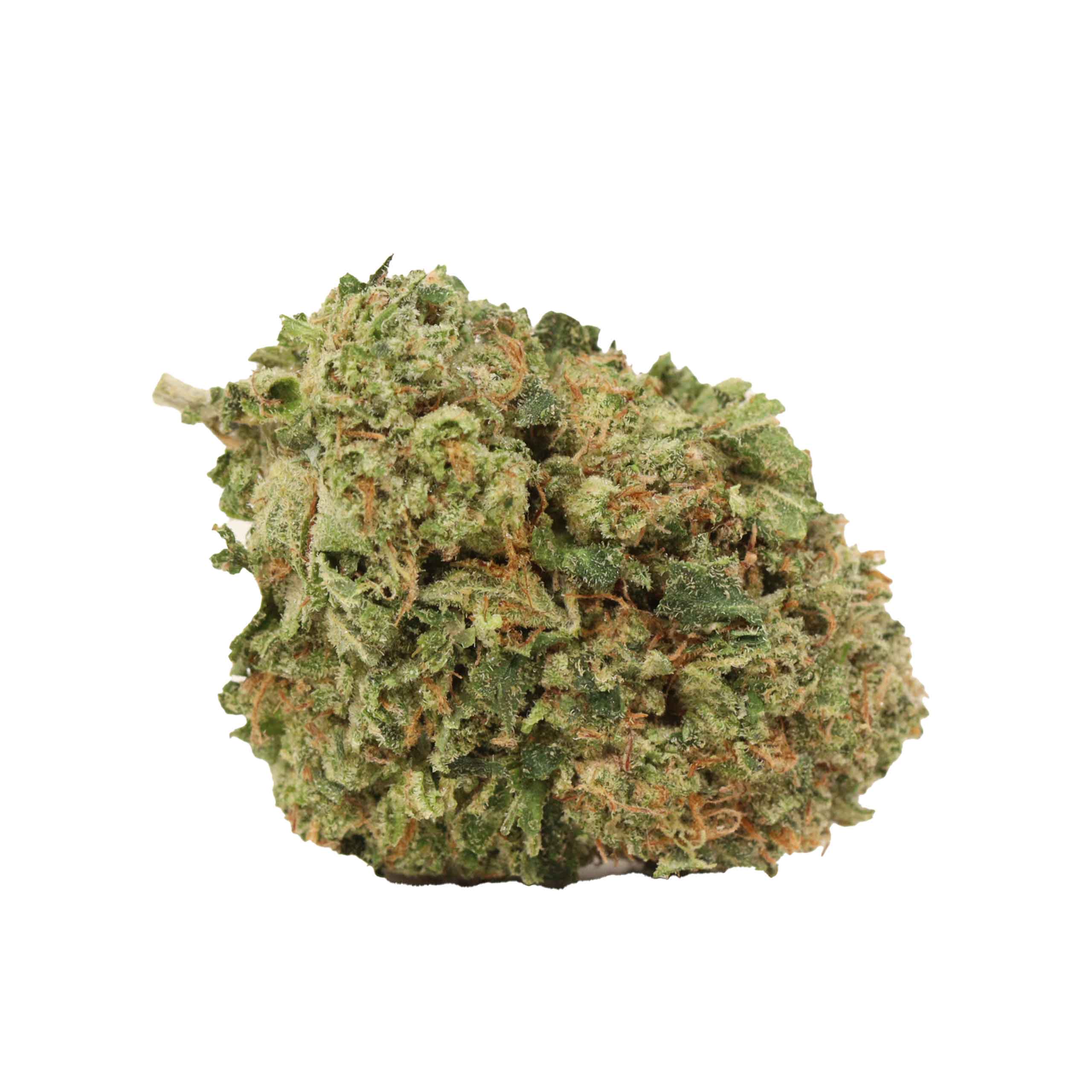 Afghani Pink - Image 2