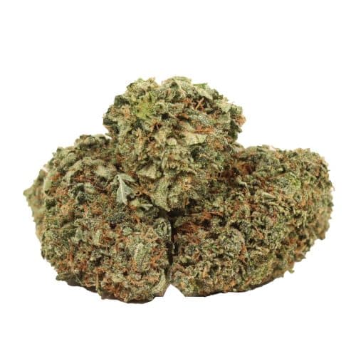 Ahi Tuna Kush strain cannabis