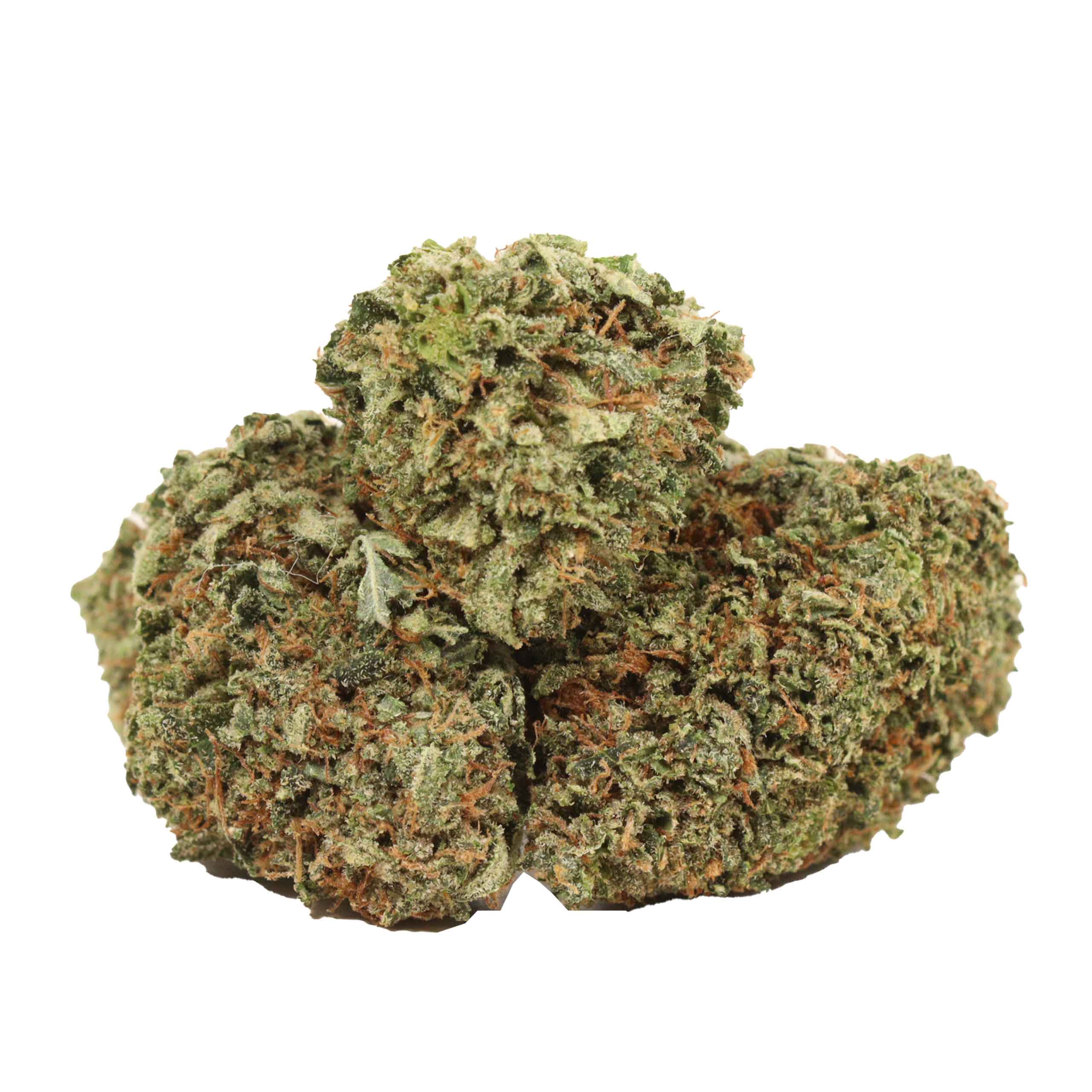 Ahi Tuna Kush strain cannabis