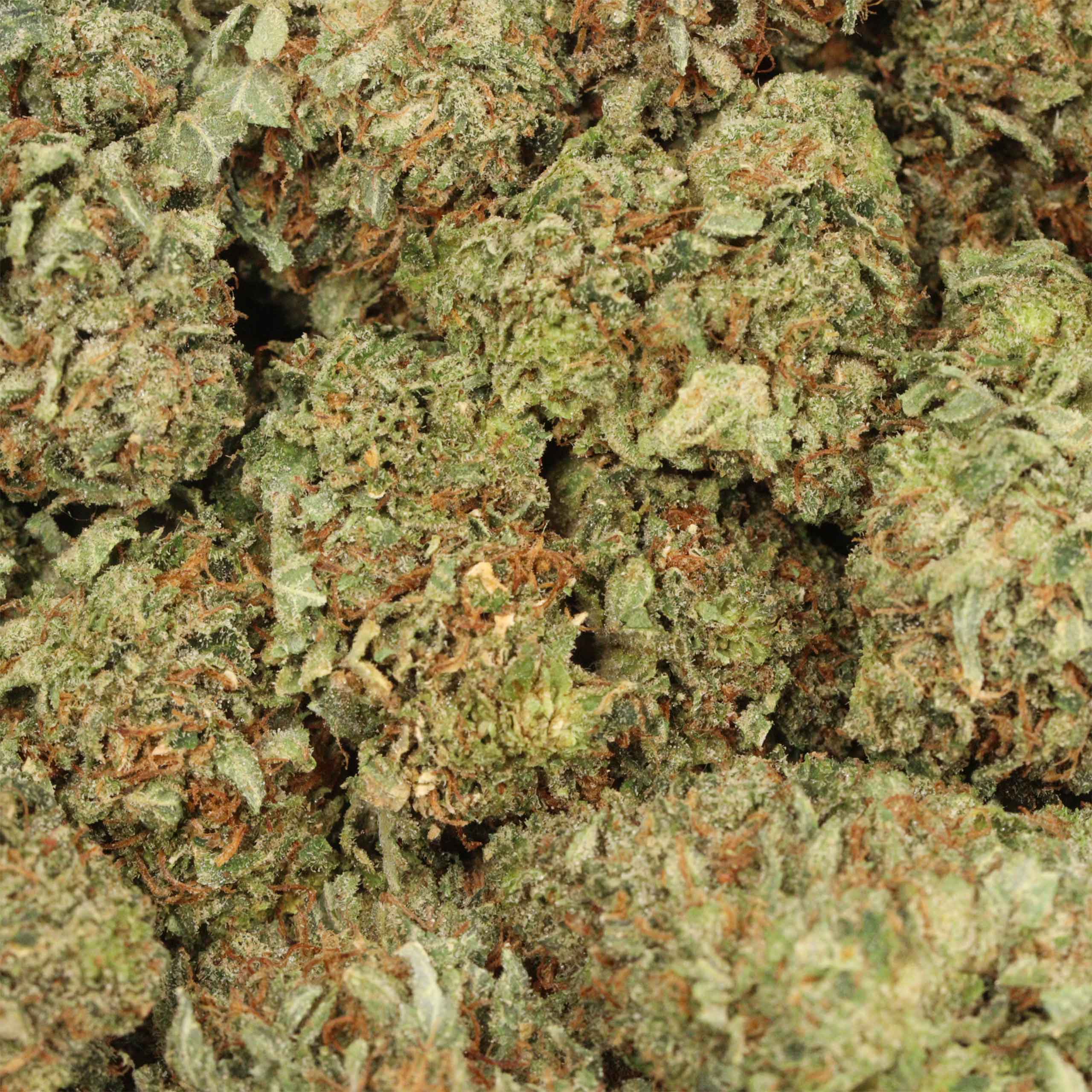 Ahi Tuna Kush - Image 3