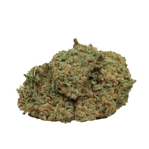Alaskan Thunder Fuck strain cannabis