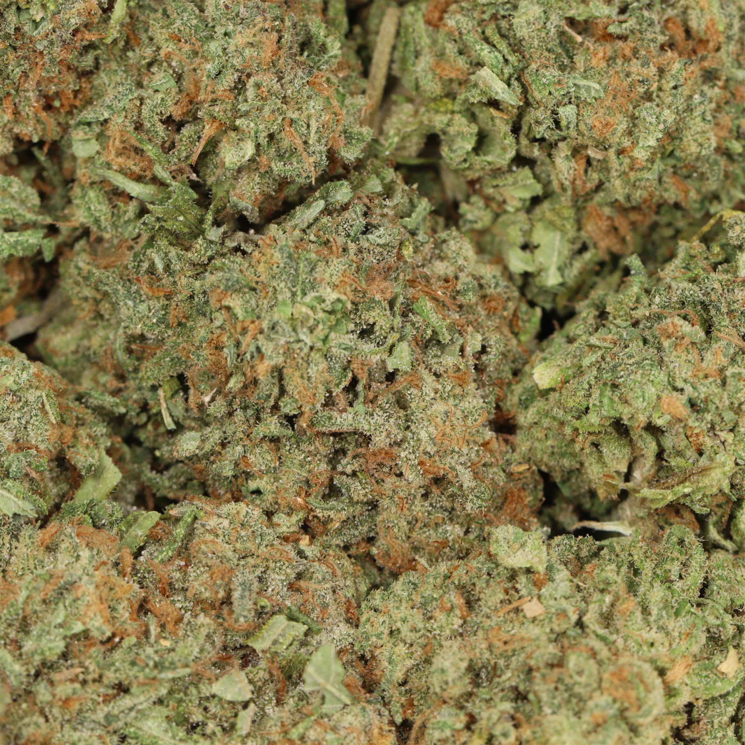 Alaskan Thunder Fuck - Image 3