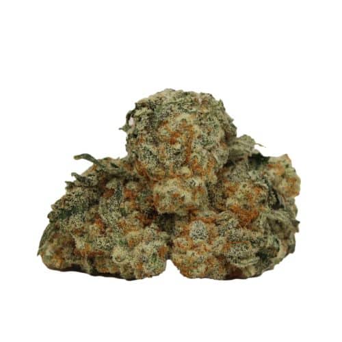 Alien OG strain cannabis
