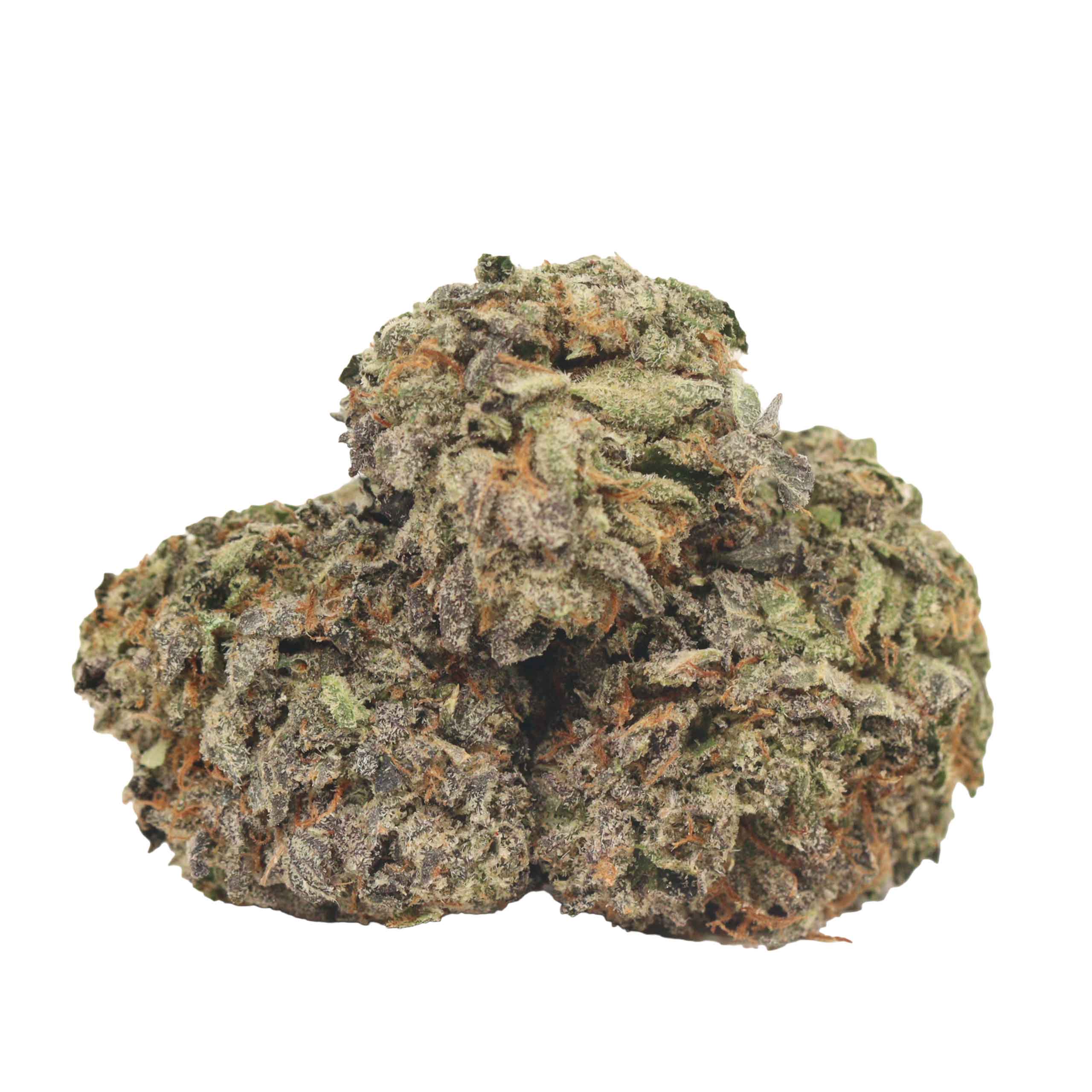 Astro Pink Kush strain cannabis