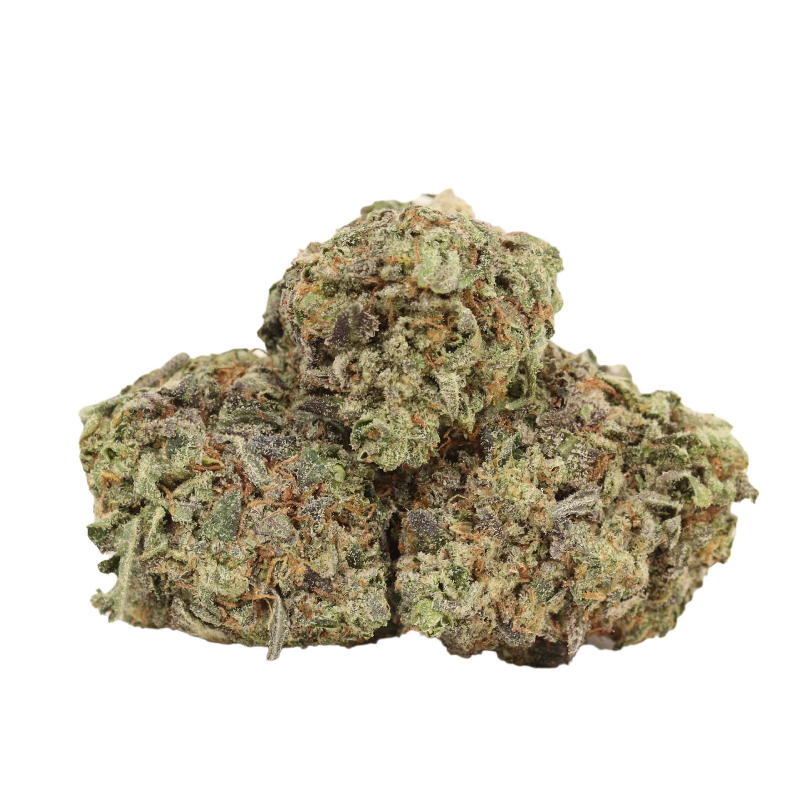 Astro Pink Kush strain cannabis
