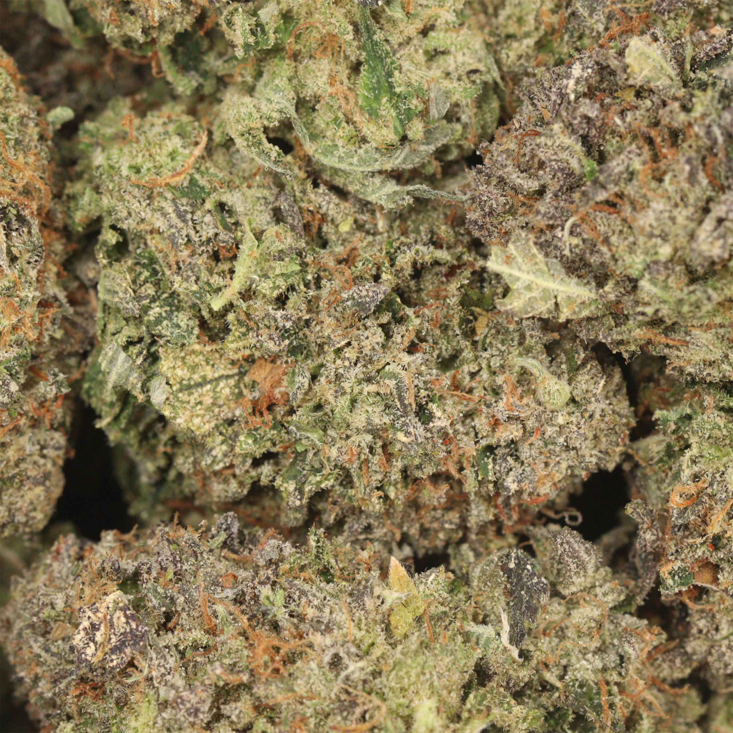 Astro Pink Kush - Image 3