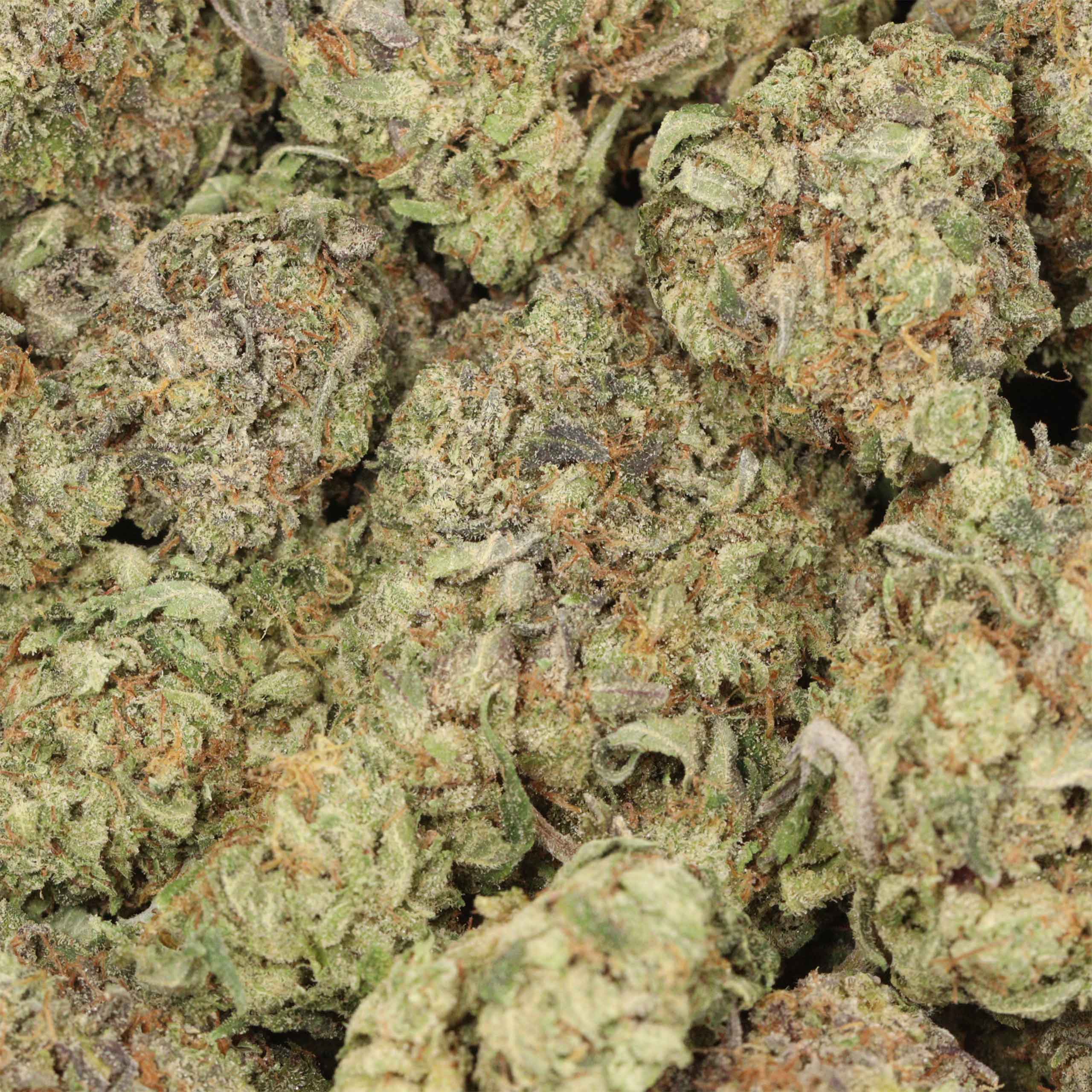 Astro Pink Kush - Image 3