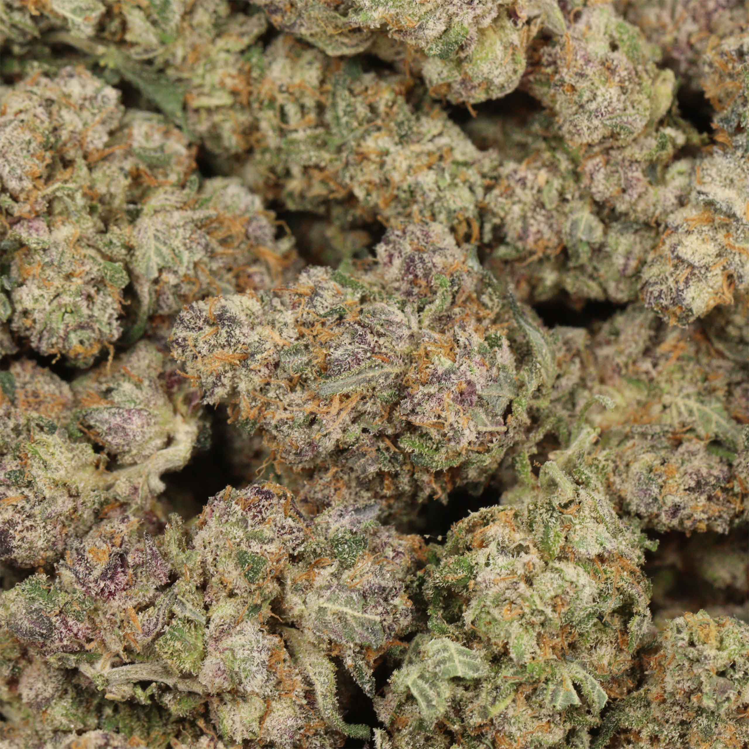 Ayahuasca Purple - Image 3