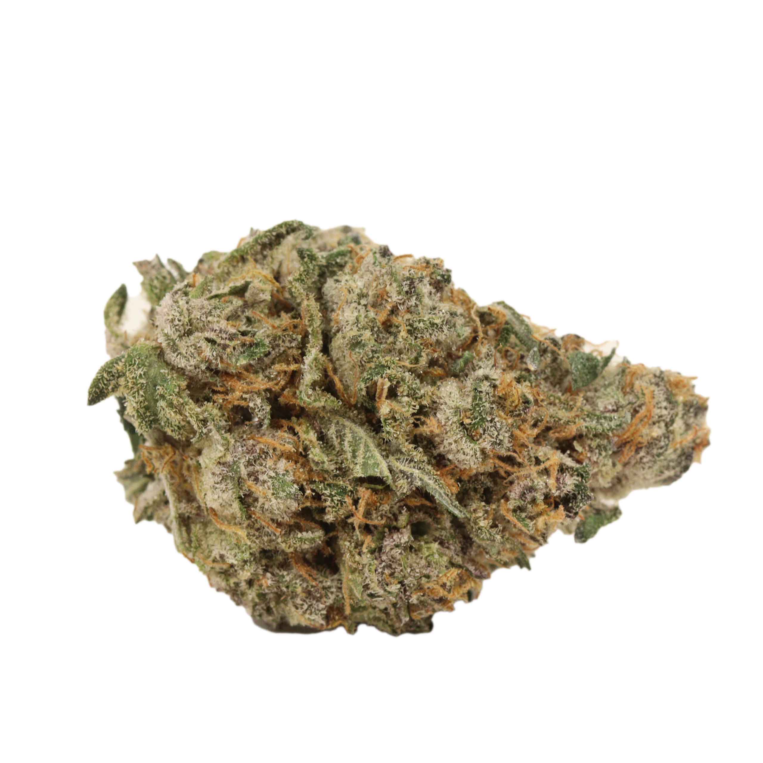 Ayahuasca Purple - Image 2