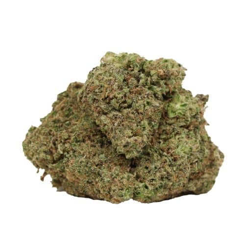 Banana Kush strain cannabis