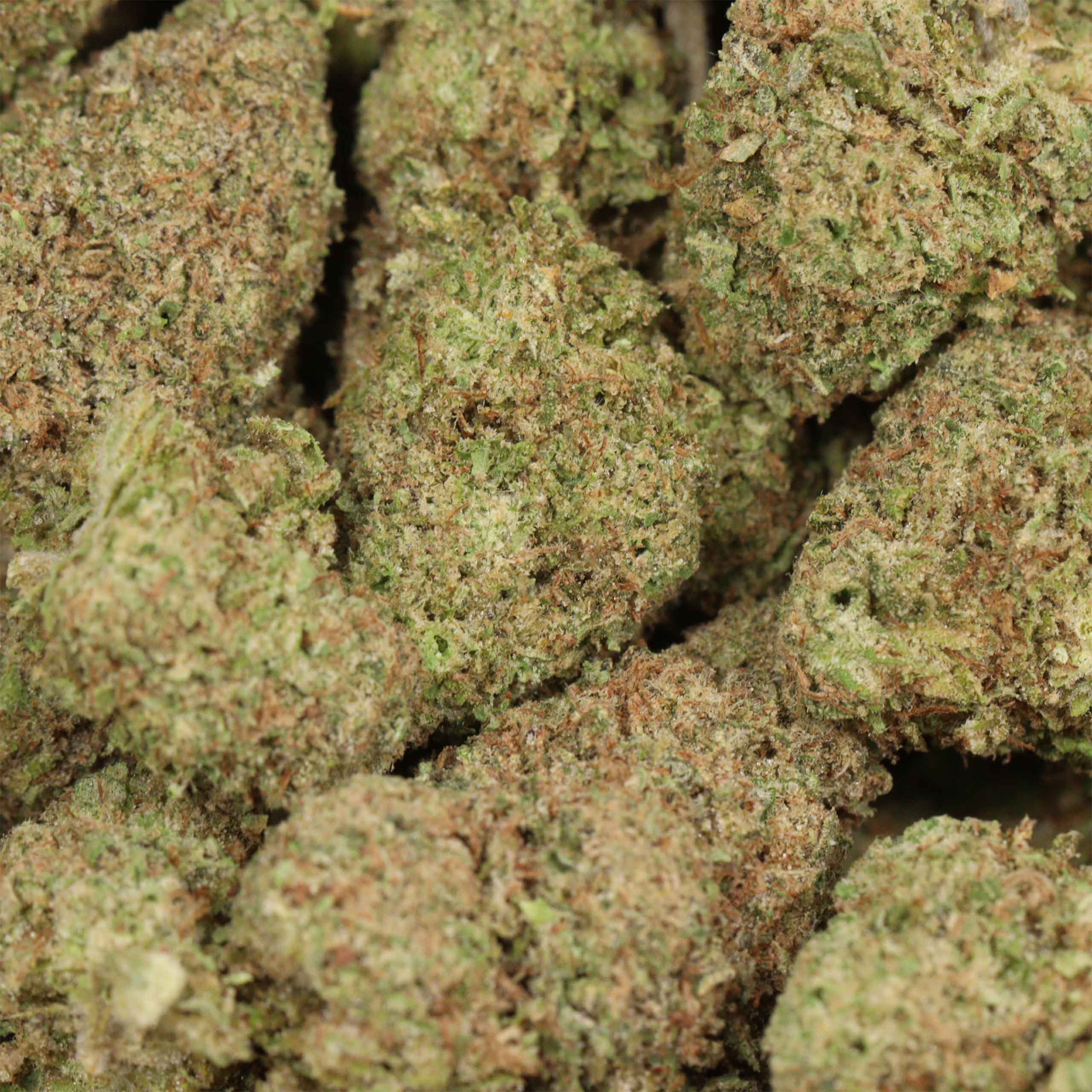 Banana Kush - Image 3