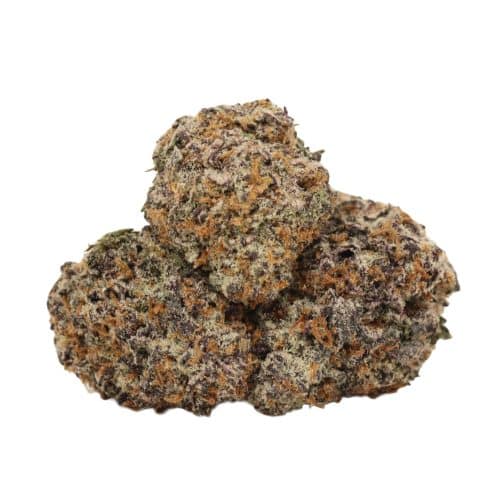Black Cherry OG strain cannabis
