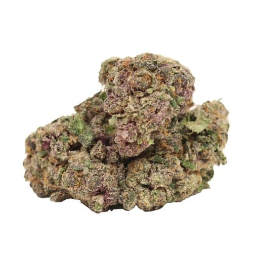 Black Cherry Soda strain cannabis