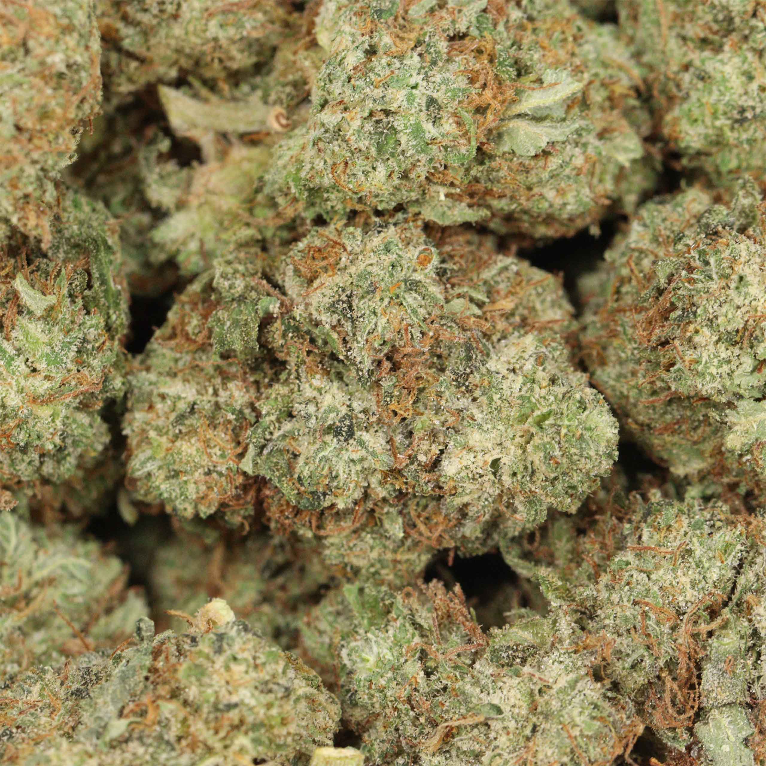 Black Diamond - Image 3