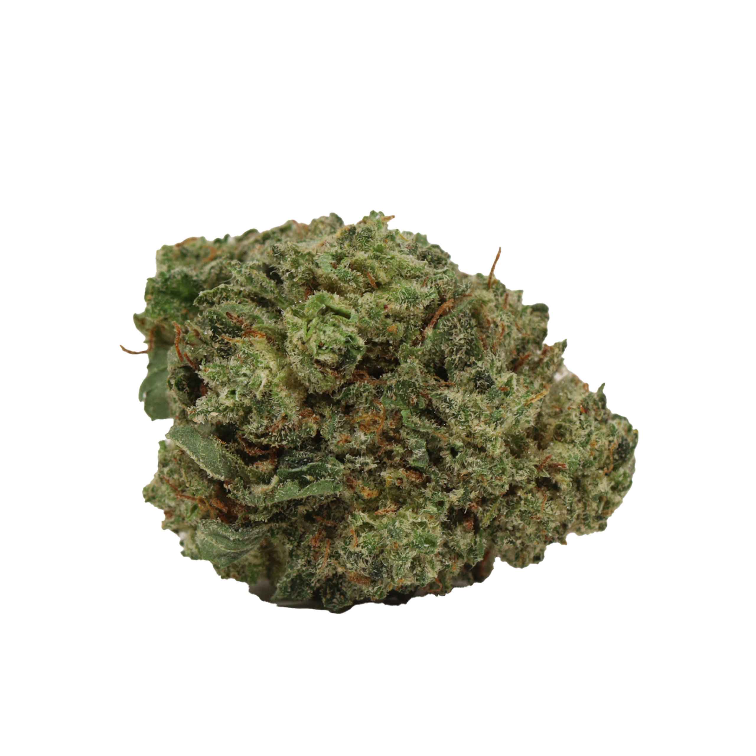 Black Diamond - Image 2