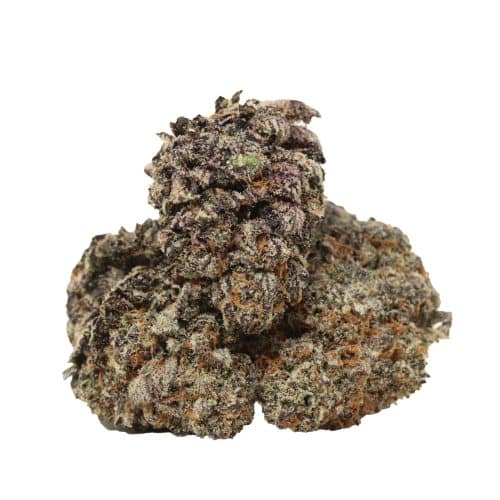 Black Forest Cake craft strain cannabis