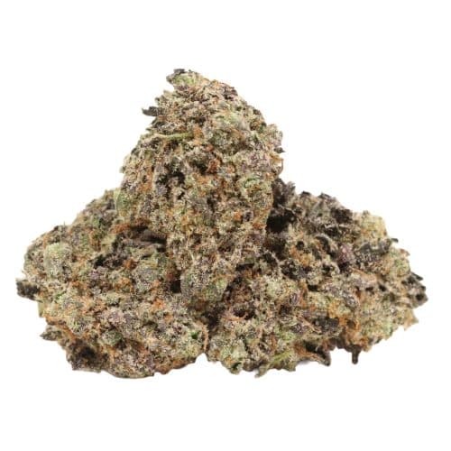Black Kush craft strain cannabis