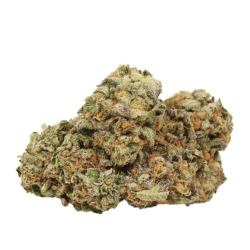 Blue Dream strain cannabis