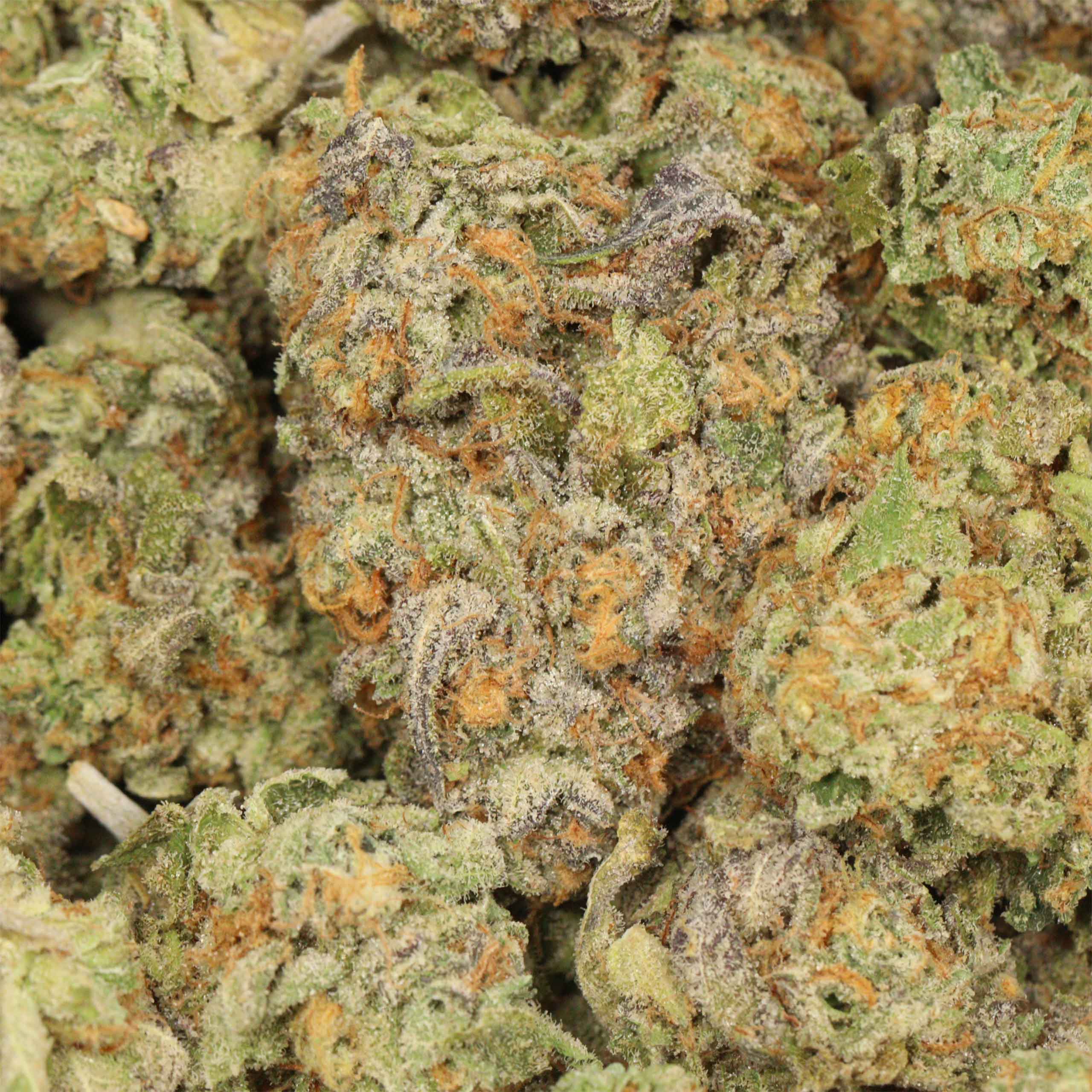 Blue Dream - Image 3
