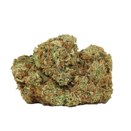 Blue Lemon strain cannabis