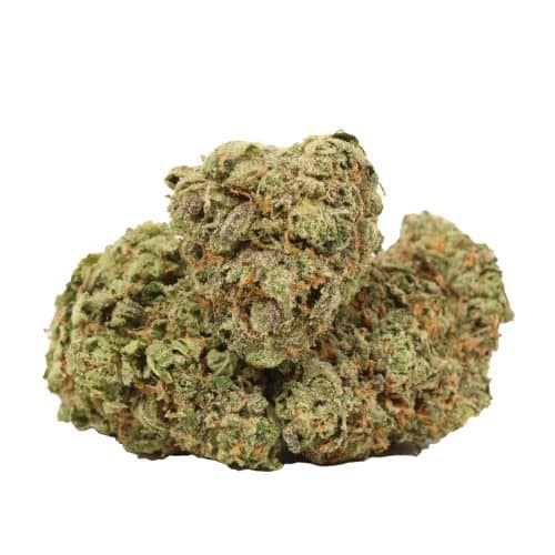 Blue Lemon strain cannabis
