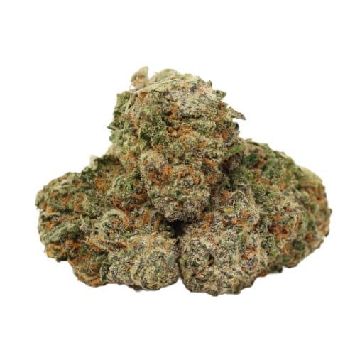Blueberry Pancake strain cannabis