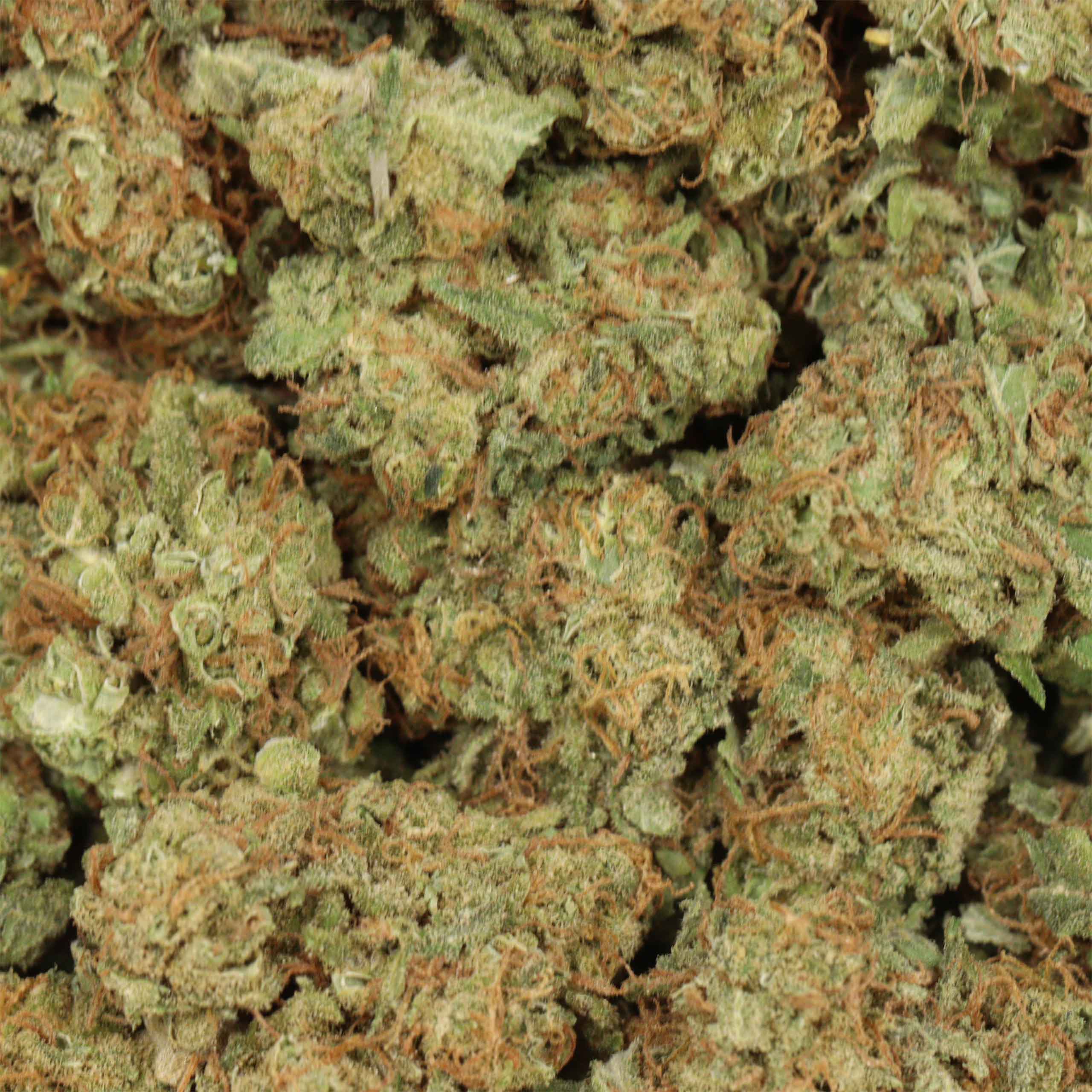 Blueberry Pie - Image 3