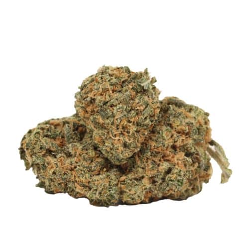 Bubba Kush strain cannabis
