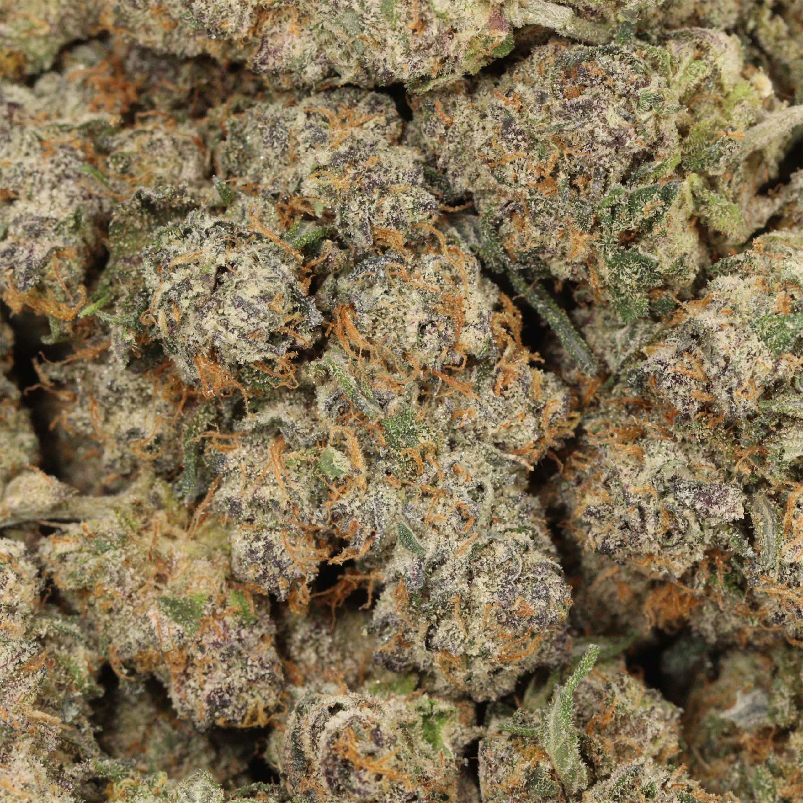 Candyland - Image 3