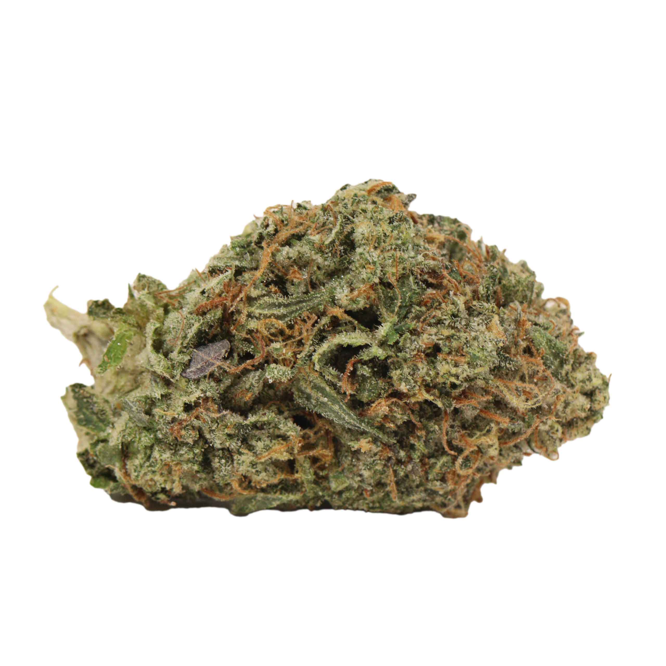 Cartel Kush - Image 2