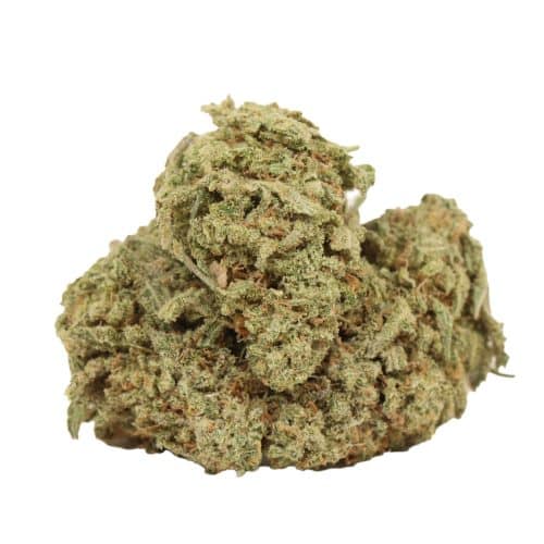 Casey Jones strain cannabis