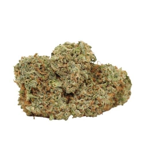 Cherry OG strain cannabis