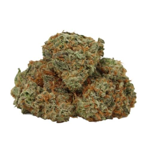 Cherry OG strain cannabis