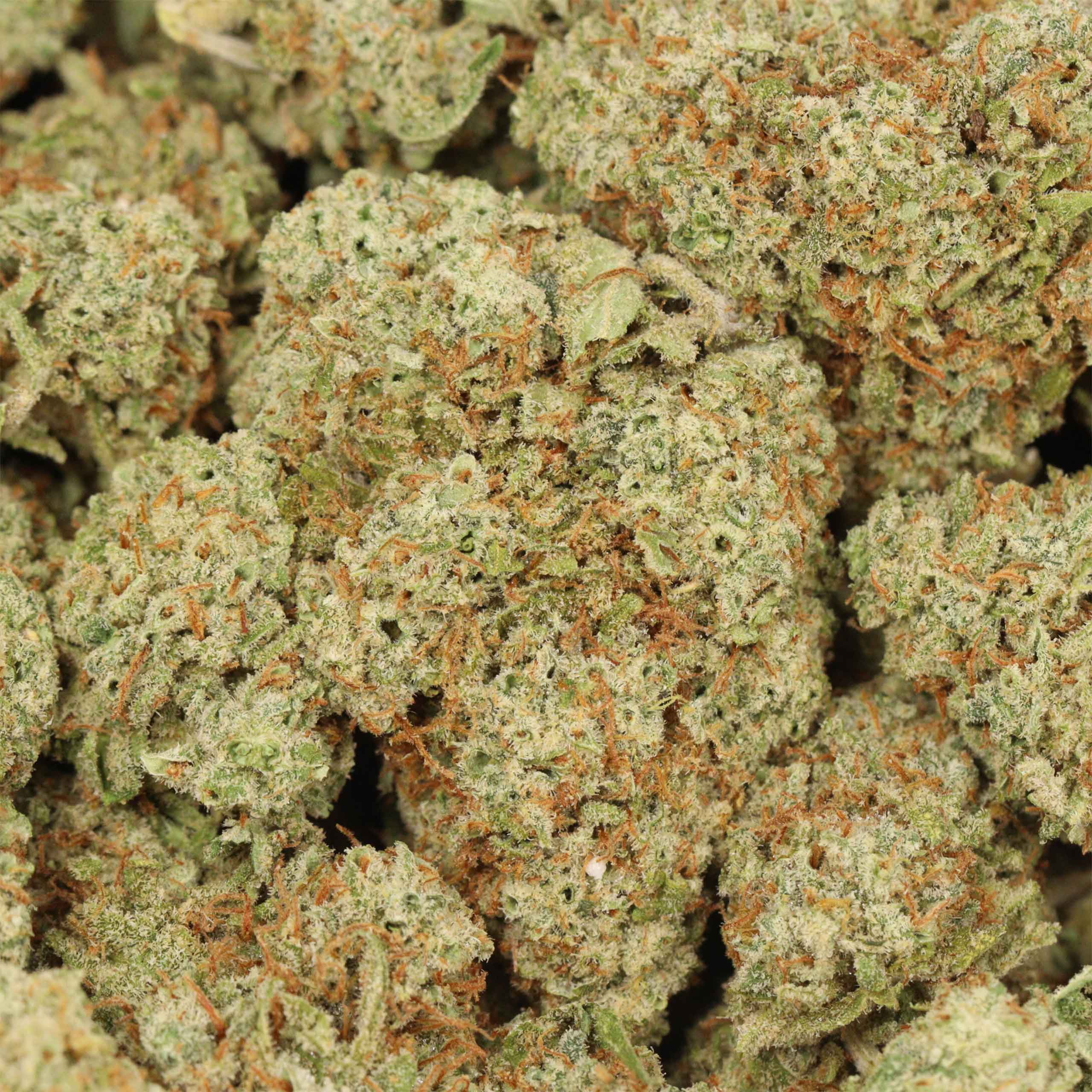 Cherry OG cannabis