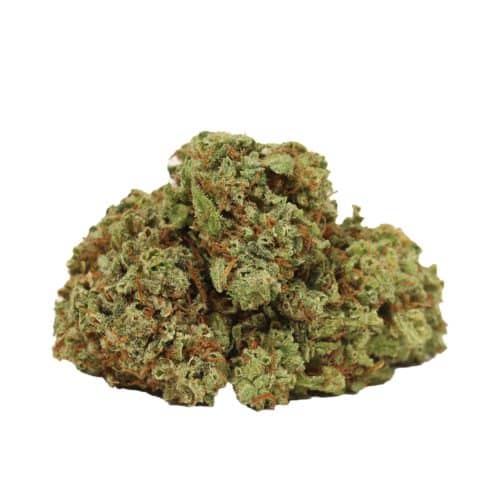 Copper Chem strain cannabis