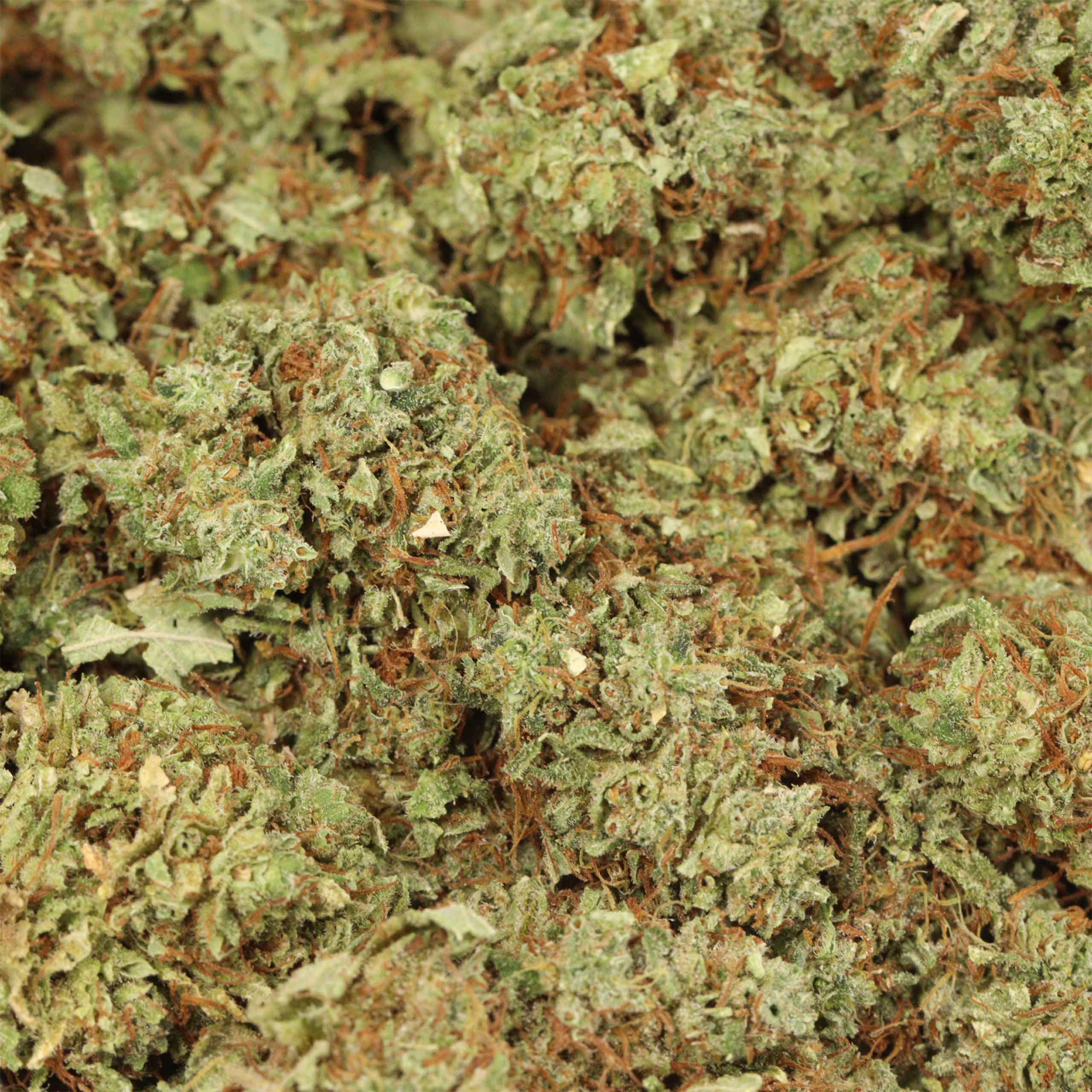 Copper Chem - Image 3