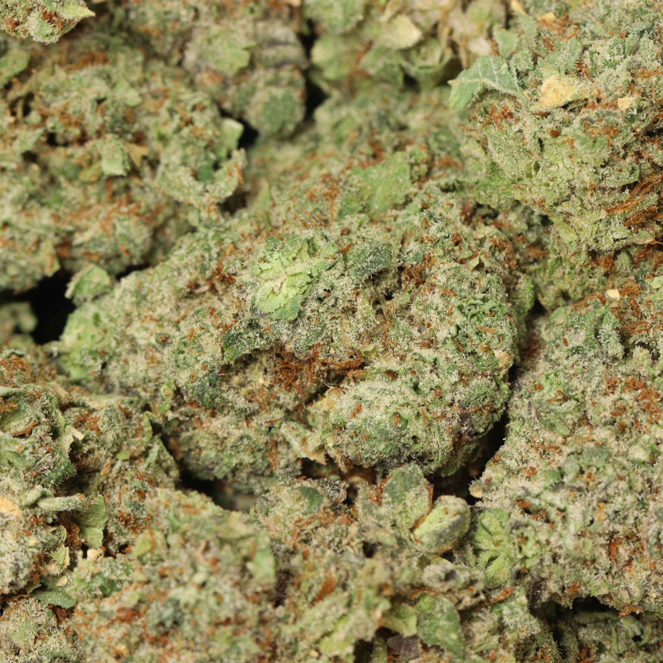 Copper Chem - Image 3
