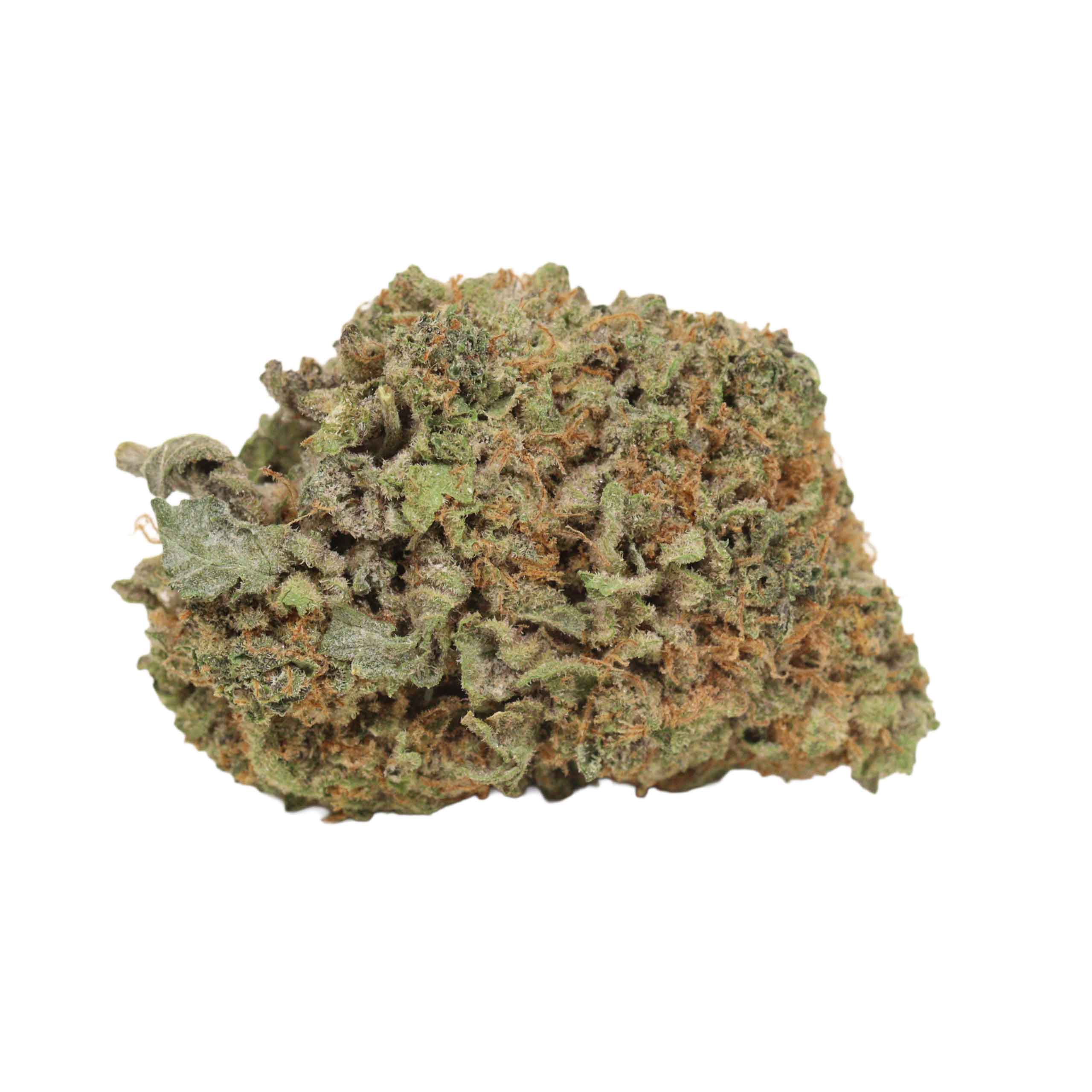 Dank Sinatra - Image 2